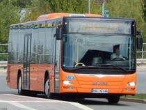 MAN Lion's City von Tonne aus Deutschland in Malchow am 09.09.2018