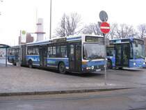 Am 15.01.09 steht 5815(O405GN)am Petuelring auf Linie 173.Wegen akutem Gelenkbusmangel wurden drei dieser ,eigentlich schon abgestellten, Wagen wieder reaktiviert.Der Fan freut sich;-)Hier ein kleiner Schnappschuss(leider mit Stange im Weg) 
