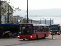 MAN NL, SEV S7, Tempelhofer Reisen, Potsdam 01.Nov.2020