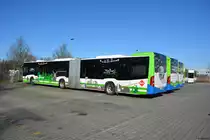 16.02.2019 | Werder / Havel (Brandenburg) | regiobus PM | PM-RB 302 / PM-RB 308 / PM-RB 168 | Mercedes Benz Citaro II Hybrid + Mercedes Benz Citaro II GÜ |