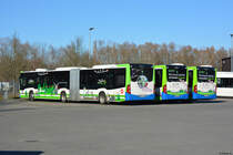 16.02.2019 | Werder / Havel (Brandenburg) | regiobus PM | PM-RB 302 / PM-RB 308 / PM-RB 168 | Mercedes Benz Citaro II Hybrid + Mercedes Benz Citaro II GÜ |