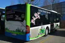 16.02.2019 | Werder / Havel (Brandenburg) | regiobus PM | PM-RB 223 | Mercedes Benz Citaro I Facelift K Ü |