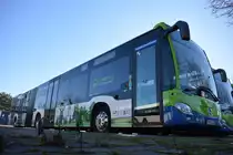 16.02.2019 | Werder / Havel (Brandenburg) | regiobus PM | PM-RB 302 | Mercedes Benz Citaro II Hybrid |