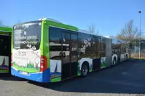 16.02.2019 | Werder / Havel (Brandenburg) | regiobus PM | PM-RB 302 | Mercedes Benz Citaro II Hybrid |