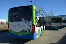 16.02.2019 | Werder / Havel (Brandenburg) | regiobus PM | PM-RB 341 | Mercedes Benz Citaro II |