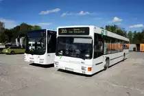 Bus Erzgebirge: MAN NL (ASZ-BV 11) sowie MAN Lion's City Ü der RVE (Regionalverkehr Erzgebirge GmbH), aufgenommen im Oktober 2020 in Eibenstock (Erzgebirgskreis). 