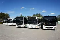 Bus Erzgebirge: MAN Lion's City M, MAN EL (MEK-BV 18), MAN Lion's City Ü, MAN NL (ASZ-BV 11) sowie MAN Lion's City Ü der RVE (Regionalverkehr Erzgebirge GmbH), aufgenommen im Oktober 2020 in Eibenstock (Erzgebirgskreis). 