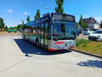 Auf der Linie 43 war ein Mercedes Benz O530 Citaro 2 der Halleschen Verkehrs Aktiengesellschaft mit der Wagennummer 506 auf dem Pausenplatz in Halle-Büschdorf zu sehen.

Er trägt den Namen: 
Dorothea Christiana Erxleben

HAL-R 486

Aufnahmedatum: 13.07.2020