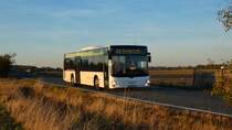 MAN A20 Lion's City Ü NÜ313 von Geißler-Reisen Eilenburg am 10.08.2018.
