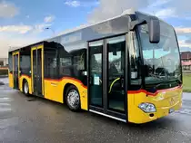 PostAuto MB C2 K '10880'  AG 229 946  am 15.3.21 bei der Haltestelle Leibstadt Milchhüsli.