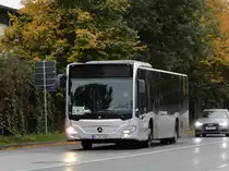 Mercedes-Benz Citaro, SEV RB33, Schröder Reisen Langenau, Potsdam 26.Okt.2020