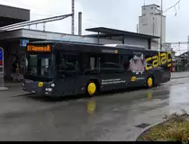 asm - MAN Lion`s City  Nr.43  BE  630623 in Herzogenbuchsee am 17.03.2021