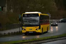 15.03.2019 | Berlin Wannsee | BVG | B-V 2429 | VDL Citea | 