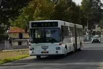 B 0201, MAN von Sales Lentz, als Schulbus in der Nähe von Mersch unterwegs 17.10.2011