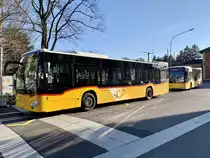 MB C2 '11065' und C2 K '10693'  Chly Paris  vom PU Geissmann Bus, Hägglingen am 24.3.21 beim Bahnhof Wohlen.