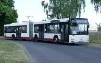 MAN NG 313 'Unity-City & EventBus Berlin (BAR-D 2022) hier im SEV der S-Bahn Berlin im Juni 2020.