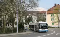 Swisstrolley 164 zwischen Bhf. Wipkingen und Rosengartenstrasse am 18.04.2013.