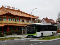 MAN Lion’s City LEÜ, Busbetrieb Anger, Stahnsdorf 18.Nov.2020