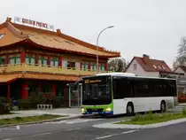 MAN Lion’s City LEÜ, Busbetrieb Anger, Stahnsdorf 18.Nov.2020