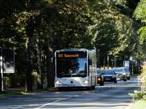 Mercedes-Benz Citaro, Busbetrieb Anger, Bergholz-Rehbrücke 04.Okt.2020