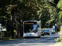 Mercedes-Benz Citaro, Busbetrieb Anger, Bergholz-Rehbrücke 04.Okt.2020