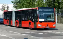 SEV Berlin [Archiv Aug. 2015] und Mercedes-Benz MB Citaro III Ü, VG-RB 42, von Uecker-Randow Bus GmbH(urb). Berlin_ SEV im August 2015.