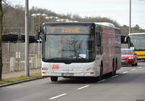 17.03.2019 | Berlin Wannsee | Der Tempelhofer | B-AA 5900 | MAN Lion's City L |