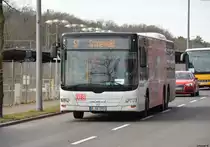 17.03.2019 | Berlin Wannsee | Der Tempelhofer | B-AA 5900 | MAN Lion's City L |