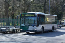 17.03.2019 | Berlin Wannsee | B-LA 7673 | Mercedes Benz Citaro I |