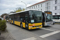17.03.2019 | Potsdam Hauptbahnhof | Der Tempelhofer | B-AA 5320 | Setra S 319 NF | 