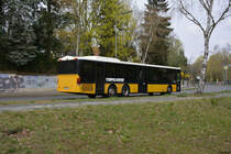 13.04.2019 | Berlin Wannsee | Der Tempelhofer | B-AA 5320 | Setra S 319 NF |