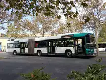 Volvo 7700 A, ViP Potsdam, Potsdam 23.Sep.2020