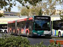 Mercedes-Benz Citaro G, ViP Potsdam, Potsdam 23.Sep.2020