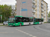 Graz. Aufgrund des Aufbringens eines Netzes zur Tierabwehr beim Hauptbahnhof, wurden am 01.05. und 02.05.2021 die Linie 1 zwischen Hilmteich und Jakominiplatz und die Linie 7 zwischen LKH MED UNI und Jakominiplatz/Steyrergasse kurzgeführt. Zwischen Jakominiplatz und Laudongasse wurde ein Schienenersatzverkehr mit Bussen der Graz Linien eingerichtet. Zwischen Asperngasse und Eggenberg bzw. Wetzelsdorf wurde ebenfalls ein Ersatzverkehr eingerichtet (Linie E1 und E7), welche aufgrund von Busmangel bei den Graz Linien mit Privaten Bussen der Firma Watzke geführt wurden.
Zwei Citaro 2 €6 von Watzke sind hier beim Abwarten der Stehzeit in der Asperngasse zu sehen.