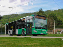 Graz. Aufgrund des Aufbringens eines Netzes zur Tierabwehr beim Hauptbahnhof, wurden am 01.05. und 02.05.2021 die Linie 1 zwischen Hilmteich und Jakominiplatz und die Linie 7 zwischen LKH MED UNI und Jakominiplatz/Steyrergasse kurzgeführt. Zwischen Jakominiplatz und Laudongasse wurde ein Schienenersatzverkehr mit Bussen der Graz Linien eingerichtet. Zwischen Asperngasse und Eggenberg bzw. Wetzelsdorf wurde ebenfalls ein Ersatzverkehr eingerichtet (Linie E1 und E7), welche aufgrund von Busmangel bei den Graz Linien mit Privaten Bussen der Firma Watzke geführt wurden. 
Wagen W1305 von Watzke ist hier als E1 in der Laudongasse zu sehen.