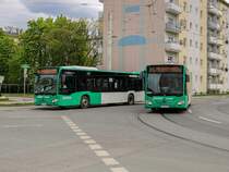 Graz. Aufgrund des Aufbringens eines Netzes zur Tierabwehr beim Hauptbahnhof, wurden am 01.05. und 02.05.2021 die Linie 1 zwischen Hilmteich und Jakominiplatz und die Linie 7 zwischen LKH MED UNI und Jakominiplatz/Steyrergasse kurzgeführt. Zwischen Jakominiplatz und Laudongasse wurde ein Schienenersatzverkehr mit Bussen der Graz Linien eingerichtet. Zwischen Asperngasse und Eggenberg bzw. Wetzelsdorf wurde ebenfalls ein Ersatzverkehr eingerichtet (Linie E1 und E7), welche aufgrund von Busmangel bei den Graz Linien mit Privaten Bussen der Firma Watzke geführt wurden.