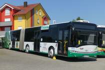 Solaris Urbino 18  Lyst , Zellingen Juni 2021