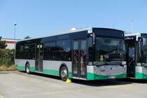 Temsa Avenue LF Lyst , Zellingen Juni 2021