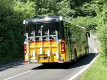 Heckansicht des neuen MB C2 hybrid '11685' von PostAuto Regie Interlaken am 10.7.21 zwischen Gsteigwiler und Wilderswil.