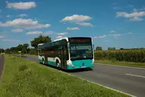 Stadtverkehr Maintal Mercedes Benz Citaro 2 Hybrid Wagen 241 am 30.07.21 bei Maintal Wachenbuchen auf der Linie 25 