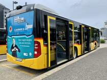 Heckansicht des MB C2 hybrid '11460' von PostAuto Regie Laupen am 3.8.21 beim Bahnhof Düdingen.