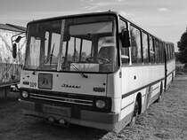 Ein Ikarus Z80 (280) war Mitte August 2021 im DDR-Museum Dargen ausgestellt.
