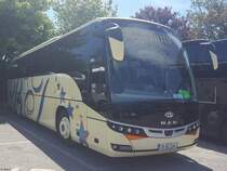 Beulas Cygnus von Bartons aus Irland in Irland am 26.06.2018