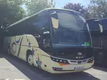 Beulas Cygnus von Bartons aus Irland in Irland am 26.06.2018