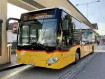 MB C2 hybrid Nr. 33 '11605'  LU 206 424  vom PU Eurobus Häfliger AG, Sursee am 13.9.21 beim Bahnhof Sursee.