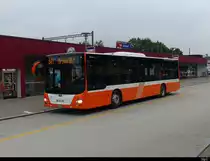 Bus Oberthurgau ( ex AOT ) - MAN Lion`s City Nr.411  TG 116583 in Amriswil am 22.09.2021