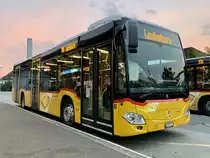 MB C2 hybrid '11703' des PU Erne Bus, Full am 11.10.21 beim Bahnhof Döttingen.