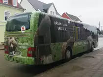 MAN Lion's Regio der MVVG in Neubrandenburg am 08.03.2019