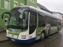 MAN Lion's Regio der MVVG in Neubrandenburg am 08.03.2019