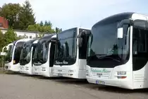 MAN Lion's Regio, Lion's City und Lion's Coach Supreme C  Friedmann , Bad Bergzabern Oktober 2021